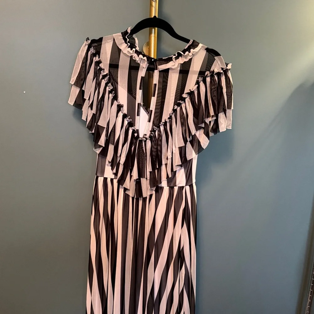 Wax Poetic Clothing Striped Black and White Ruffle Dress - Picture 3 of 4